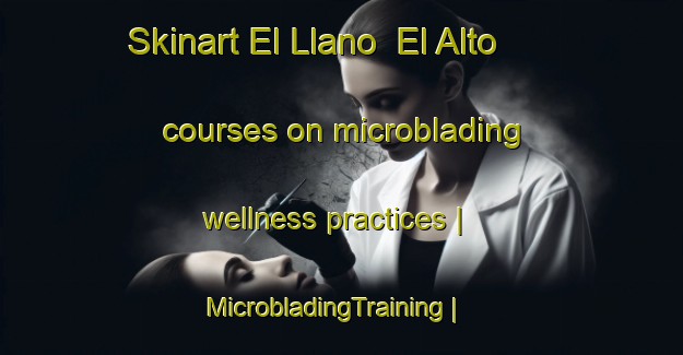 Skinart El Llano  El Alto courses on microblading wellness practices | MicrobladingTraining | MicrobladingClasses | SkinartTraining-Mexico